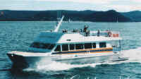Golden Spirit