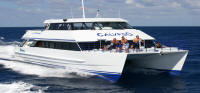 23.5m Dive Charter Catamaran Design