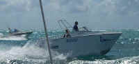 Sea Cat 6m Catamaran