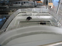 View From The Top Deck During Construction