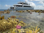 Eclipse Next to the reef